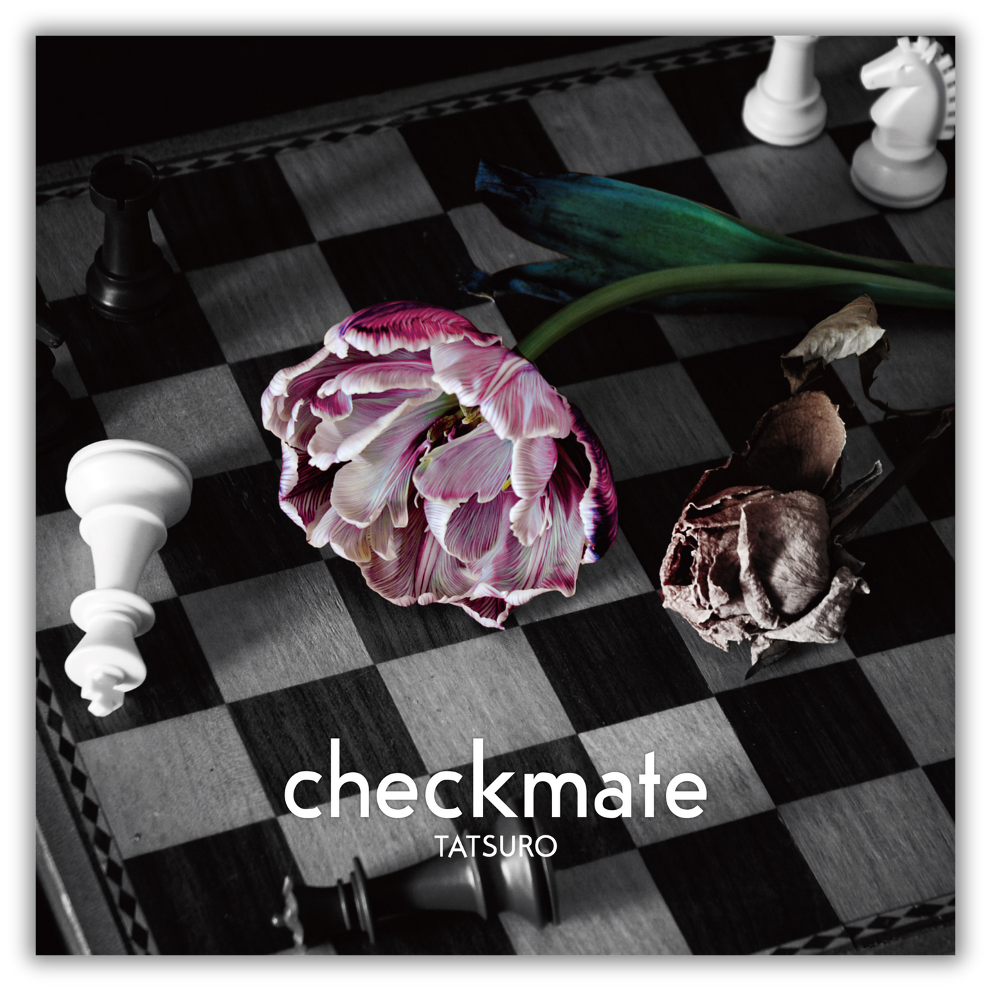 checkmate（TYPE-B）