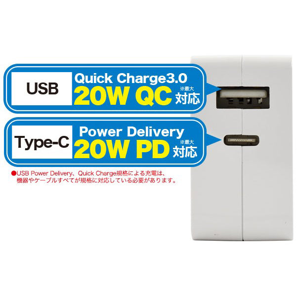 AC ADAPTER pale fire