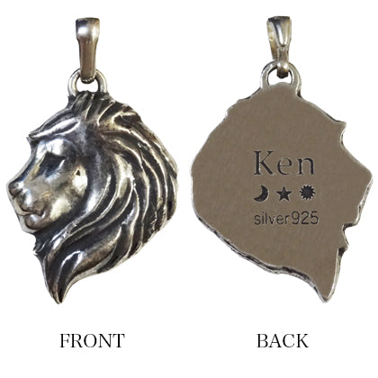 C.H.Lion